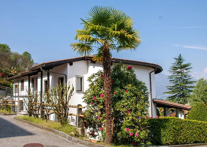 Residenza Miralago Apt- D32 By Interhome Lägenhet Piazzogna